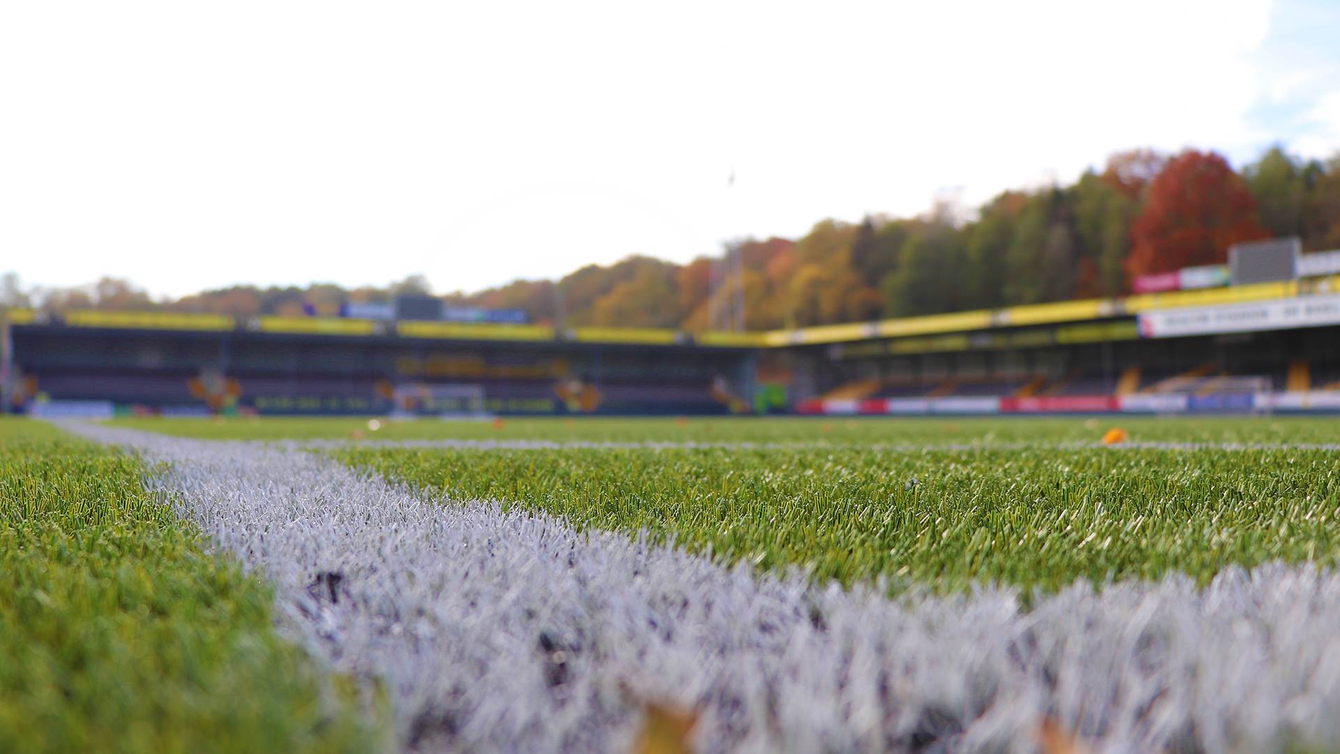 img_2350_1920x1080_veld_stadion.jpg