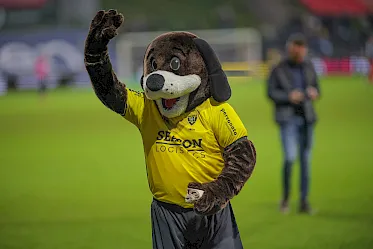 VVV-Venlo wil met Koelie Cup nieuw toernooi voor PartnerClubs organiseren