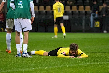 VVV-Venlo vergeet te scoren en verliest van FC Dordrecht